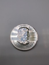 2008 silver canadian for sale  West Palm Beach