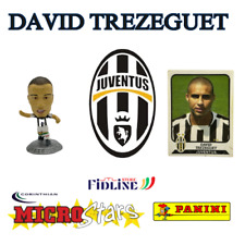 David trezeguet microstars usato  Villabate