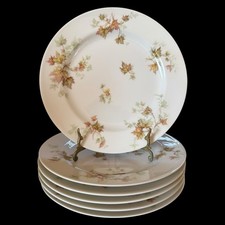 Set antique haviland for sale  Warren