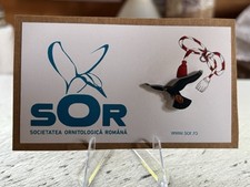 Rspb partner red for sale  BEDFORD