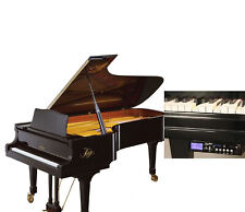 ERNST KAPS Modelo C 186 Performance Piano de Grand e Orquestral de Pianodisco Completo comprar usado  Enviando para Brazil