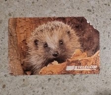 15000 animali per usato  Firenze