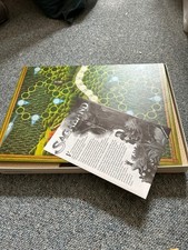 Gesellschaftsspiel ravensburge gebraucht kaufen  Berlin