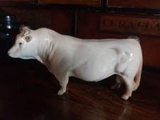 charolais for sale charolais for sale WOLVERHAMPTON
