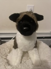 Kita akita dog for sale  Lake Hopatcong