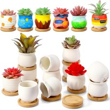 Pcs succulent pots for sale  Eugene