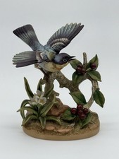 Vintage parula warbler for sale  Cedarburg