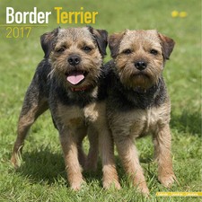 Calendrier 2017 border d'occasion  Troyes