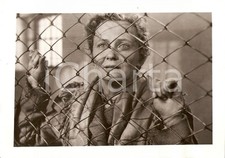 1955 lettonia attrice usato  Milano