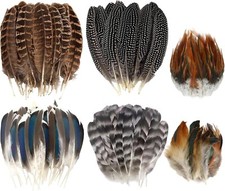 60pcs natural turkey for sale  Missouri City