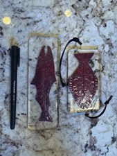 ARTE de peixe muito antiga preservada em vidro - Lote de 2 peças colecionáveis raras ÚNICAS! comprar usado  Enviando para Brazil
