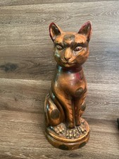 Brown sphynx cat for sale  Cleburne