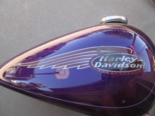 Harley davidson cobalt for sale  Glendale