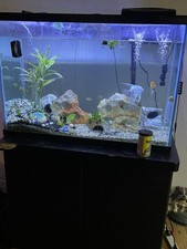 Fish tank for sale  Fresno