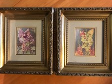 Flower fairies set for sale  READING