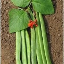 Runner bean seeds for sale  SWANLEY