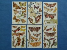 Raphael tuck postcards for sale  PERSHORE