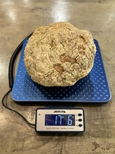 Nodule geode unopened for sale  Campbellsville