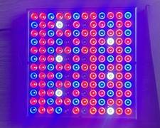 1000w led plants for sale  DUNSTABLE