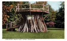 Band stand wright for sale  Hayden
