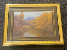 Vintage framed foil for sale  Missoula