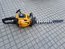 Tagliasiepi scoppio usato usato  Lucca