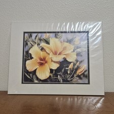 Gary palm yellow for sale  Bremerton