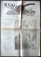 Gatto bigio settimanale usato  Italia