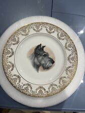 Vintage fine bone for sale  NORWICH