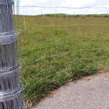 Stock fencing 100 for sale  CREDITON
