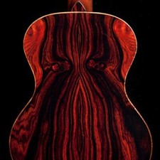 Cocobolo tree seeds for sale Cocobolo tree seeds for sale  Russell