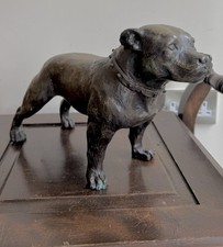 Statffordshire terrier dog for sale  ABERDEEN