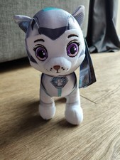 Paw patrol cat for sale  BARNSTAPLE