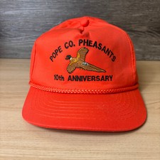 Vintage pope pheasants for sale  South Saint Paul