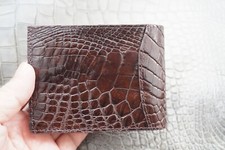 Brown real crocodile for sale  USA