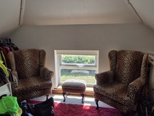 Leopard print arm for sale Leopard print arm for sale  HAILSHAM