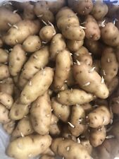 quality potatoes for sale quality potatoes for sale DAGENHAM