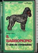 Barboncino. cane compagnia. usato  Ariccia