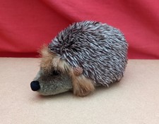 Living nature hedgehog for sale  TELFORD