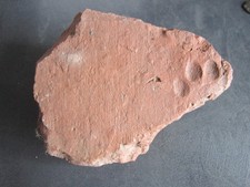 Röm ziegel pfote gebraucht kaufen  Ayl, Trassem, Wellen