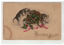 Chat 17062 couple d'occasion  France