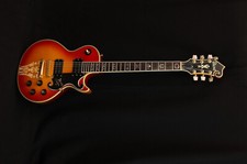 Ibanez 2405 custom gebraucht kaufen  Barsinghausen