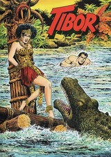 Tibor hardcover hethke gebraucht kaufen  Deutschland
