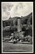 Schönau schwarzwald albert gebraucht kaufen  Berlin