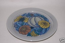 Kuchenteller 20cm terra gebraucht kaufen  Lichtenfels