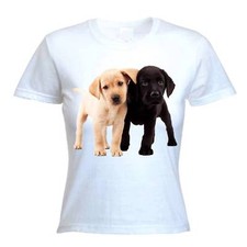 Labrador puppies women for sale  UK