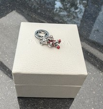 Charm anhänger silber gebraucht kaufen  Hameln
