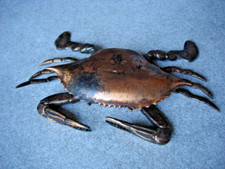 Crabe briquet table d'occasion  Piolenc