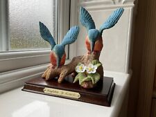 Kingfishers leonardo bird for sale  HINCKLEY