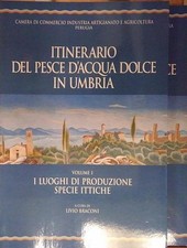 Braconi itinerario del usato  Italia